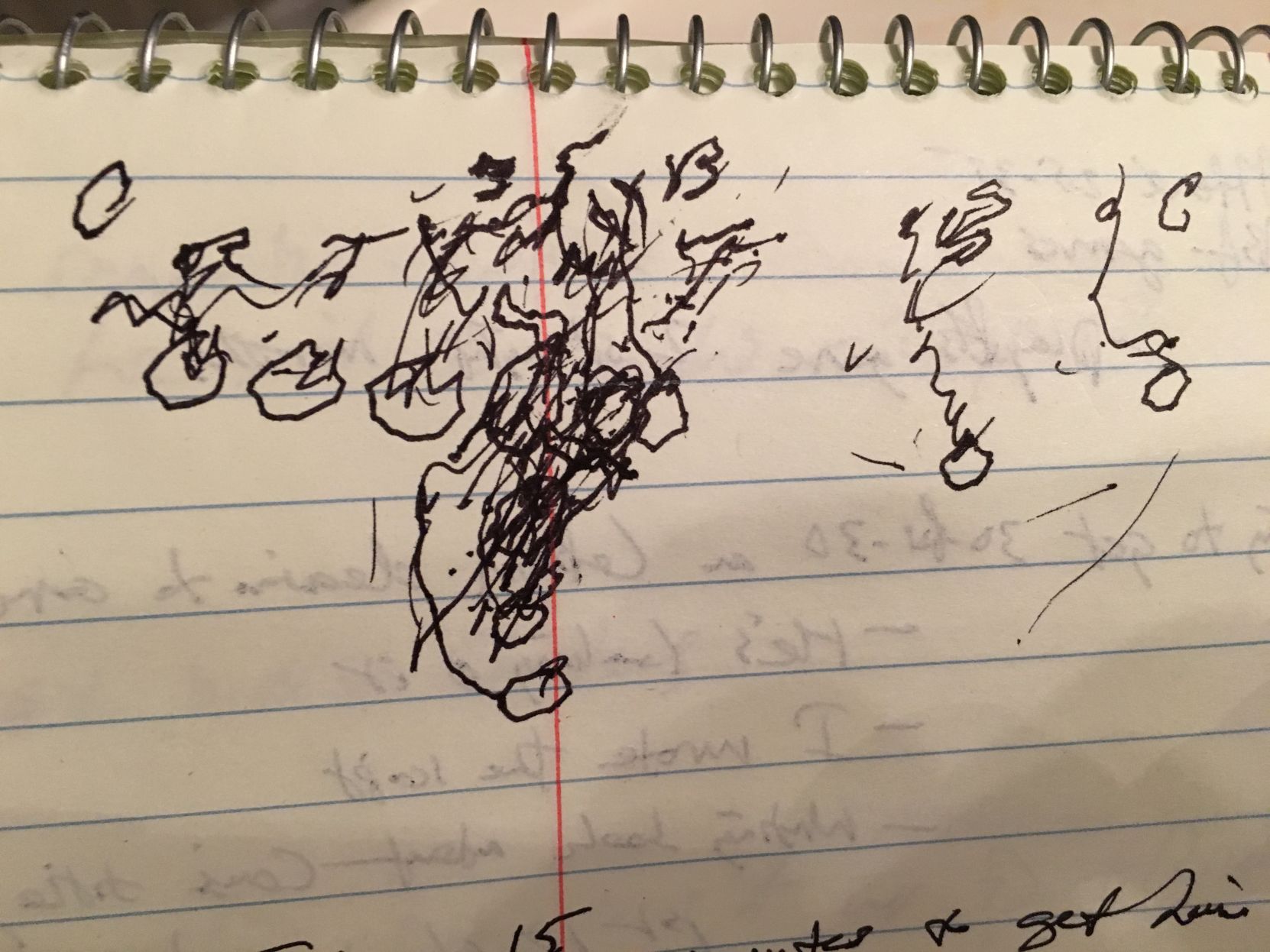 Tenopir notebook